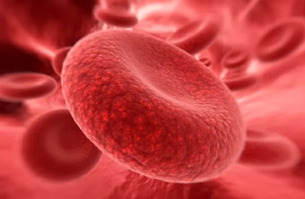 red-blood-cell-disorders