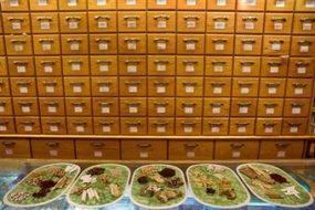 Chinese Herbs for Weight Loss | Health and Well Being Tips