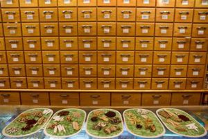 Chinese Herbs for Weight Loss | Health and Well Being Tips