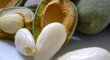 green-almond-health-benefits